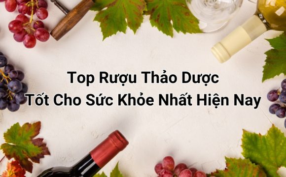 top rượu thảo dược